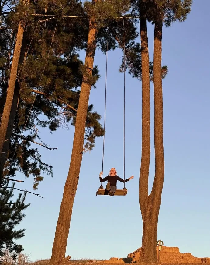 A photograph looking up at a clear blue sky: someone sitting on a plank swing hung by long ropes high between two tall pine trunks, both arms out and one leg crossed over the other, with a low sandy bank at the bottom of the frame.